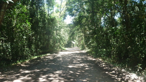 Estrada do Puruba - Ubatuba